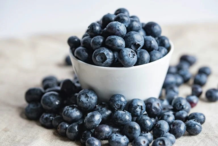 Μύρτιλα: 3 οφέλη των blueberries για την υγεία, σύμφωνα με ειδικό – Τι δείχνουν μελέτες Αρχική